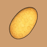 Biondo